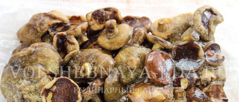 Как приготовить пасту с грибами в сливочном соусе Паста под сливочным соусом с сушеными грибами