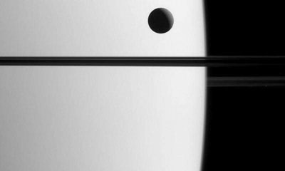 ���������� ����� ���� �������