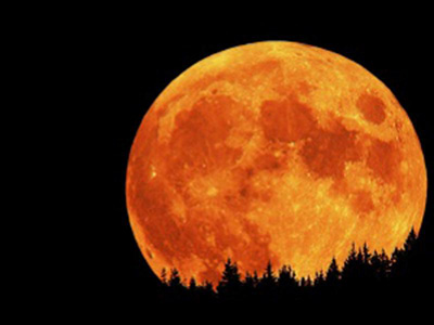 ���������� � ������ ������ �������� ������������